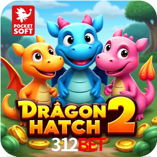 312bet Rio de Janeiro - Bonus Terms